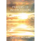 Prayers Of Intercession (Common Worship)  By David Adam